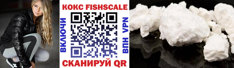 сколько стоит  Будённовск  Кокаин Fish Scale 