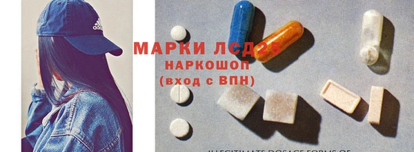 ГАЛЛЮЦИНОГЕННЫЕ ГРИБЫ Белоозёрский