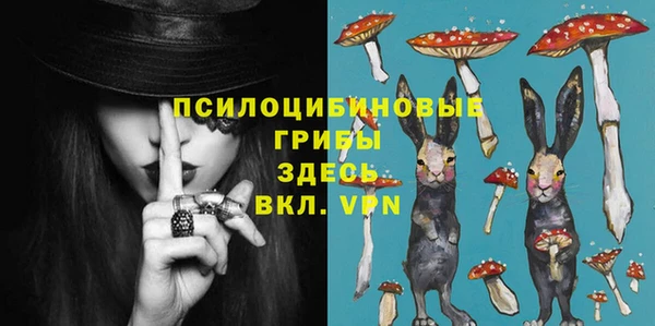 ГАЛЛЮЦИНОГЕННЫЕ ГРИБЫ Белоозёрский