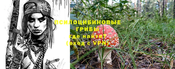 ГАЛЛЮЦИНОГЕННЫЕ ГРИБЫ Белоозёрский
