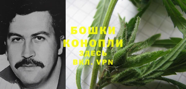 ГАЛЛЮЦИНОГЕННЫЕ ГРИБЫ Белоозёрский