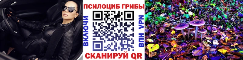 Галлюциногенные грибы MAGIC MUSHROOMS  мега зеркало  Будённовск 