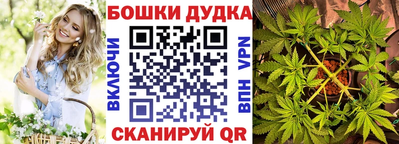 как найти наркотики Будённовск Конопля SATIVA & INDICA